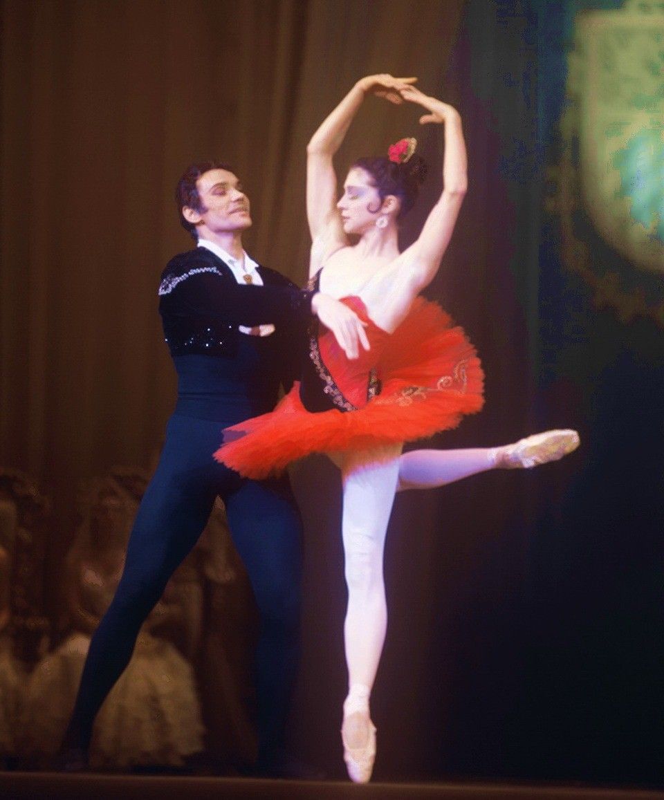 Владимир Васильев и Екатерина Максимова